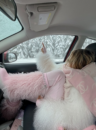 Iconique Fur Boots - Rosée